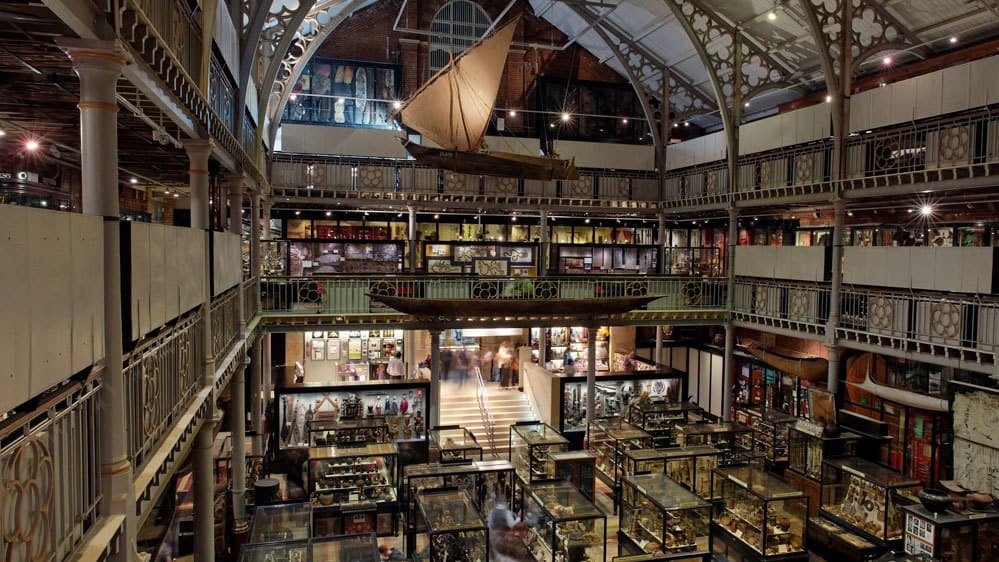 Pitt Rivers Museum - Finest Collection of Archaeology & Anthropology