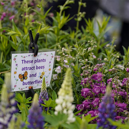 What's on in Oxfordshire this June 2024.  Blenheim Palace Flower Show.